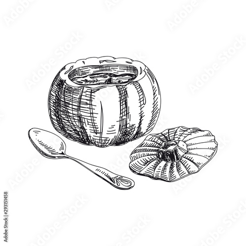 Cream soup in pumpkin shell hand drawn vector illustration