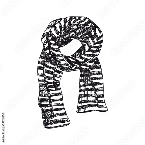 Scarf hand drawn vector illustration