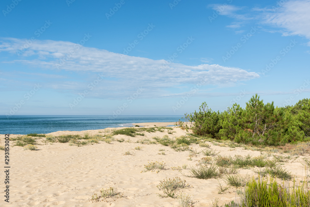 CAP FERRET (Bassin d'Arcachon, France), la pointe CAP FERRET (Bassin d'Arcachon, France), la pointe