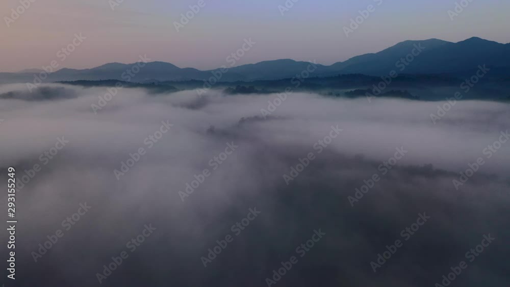 Trees forest roads and fog from above Trees forest roads and fog from above