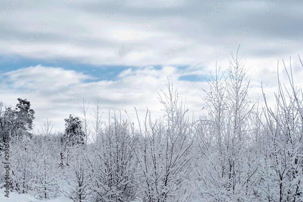 Natural dark winter landscape with cloudy sky Natural dark winter landscape with cloudy sky