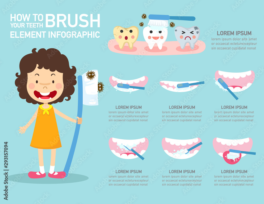 How to brush your teeth element infographic illustration vector Stock ...