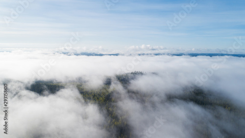 Aerial view of mist clouds and fog over forest after rain. Sunny morning with blue sky.