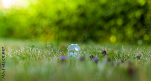 Seifenblase liegt einsam im grünem Gras. Seifenblase vor grünem Hintergrund. Soap bubble lying lonley on green grass.