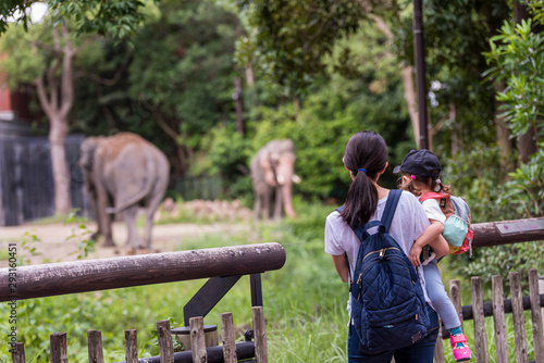 動物園で象を眺める母子