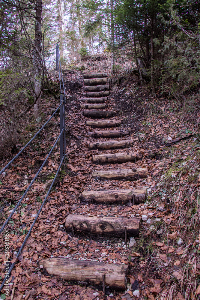 Fototapeta premium Simple wood stairs in cover with leaves