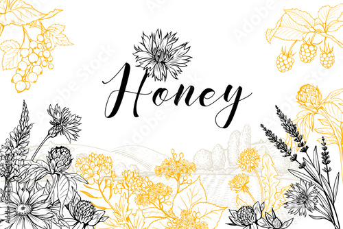 Flower honey vector hand drawn banner template. Natural homemade product poster layout with lettering. Wildflowers sketch on rural village landscape background. Organic food packaging design