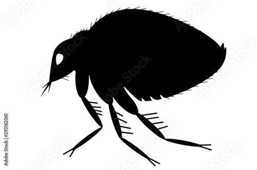 Flea vector. Silhouette of a bloodsucking flea on a white background.