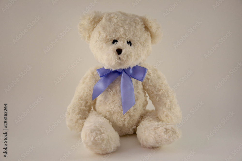bear bear