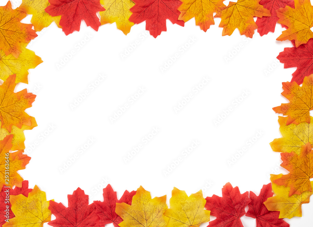 Top view Autumn frames maple leaves texture. Background center blank for write text leaves isolate on white background. Nature background, Flat lay patterns Top view Autumn frames maple leaves texture. Background center blank for write text leaves isolate on white background. Nature background, Flat lay patterns