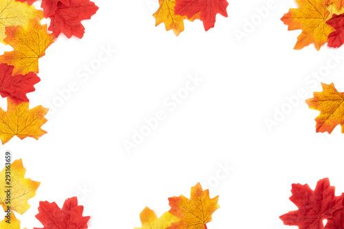 Top view Autumn maple leaves texture. Background center blank for write text leaves isolate on white background. Nature background  Flat lay patterns