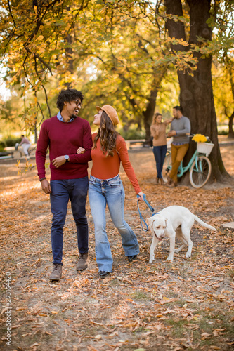 Multiracial couple walking ...