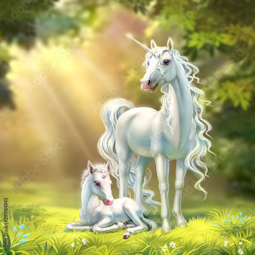 Dekoracja na wymiar  unicorn-mom-with-a-foal-on-the-background-of-the-forest