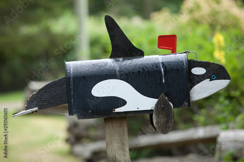 Letterbox oder Briefkasten in Form eines Orcas photo