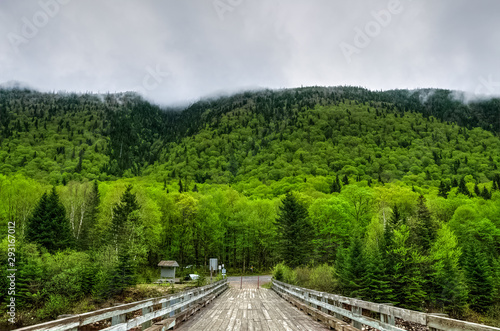 Bridge across the river, vibrant spring colors in the valley, Jacques cartier national park, Quebec, Canada