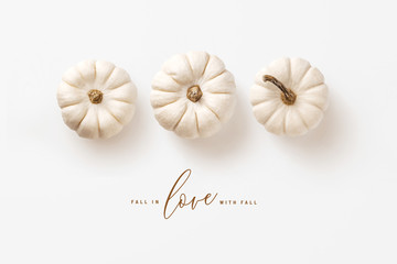 minimalist autumn / fall concept with three white pumpkins in a row and calligraphy inspired message, perfect as seasonal background, banner, or greeting card - flat lay / top view