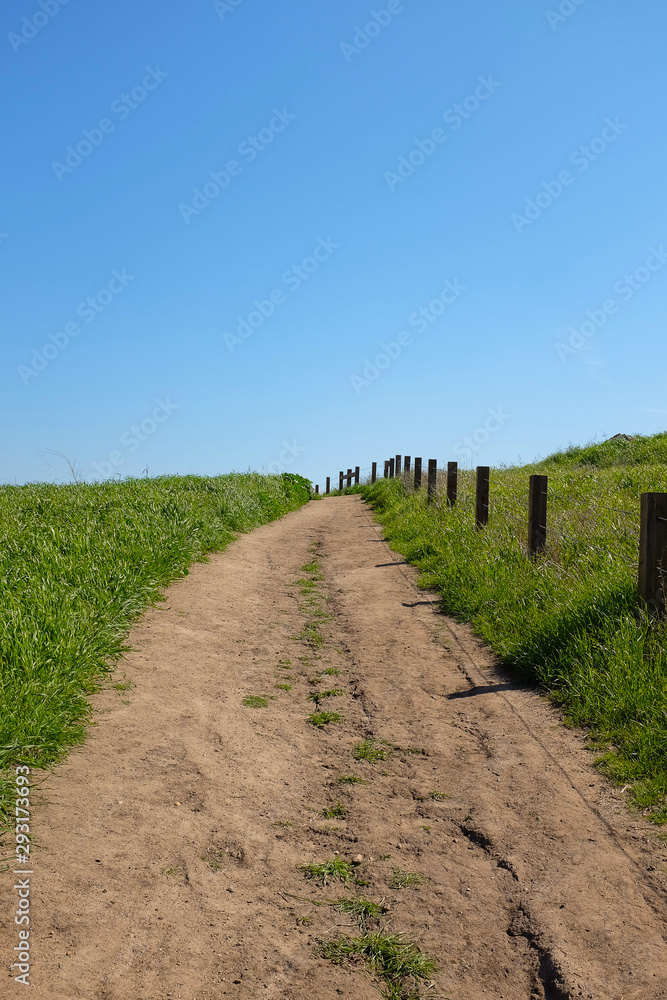 Obraz premium A rutted dirt trail up a hill leading to a bright blue sky with green fields on either side.