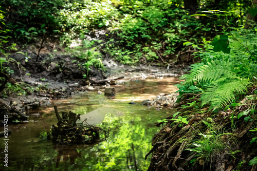 Summer creek playing with green flares in the forest.