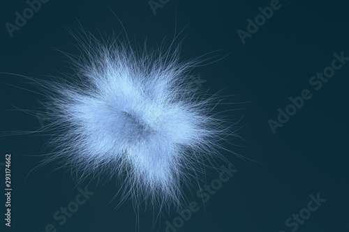 Artistic look abstract of fur  dreamy background. Closeup  3D rendering   illustration.