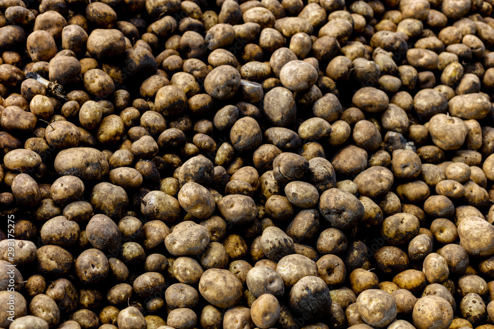 Kartoffeln Kartoffeln