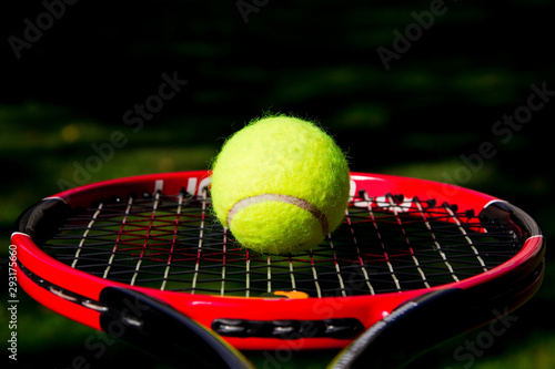 Tennis ball on a racket in the air © Anastasia