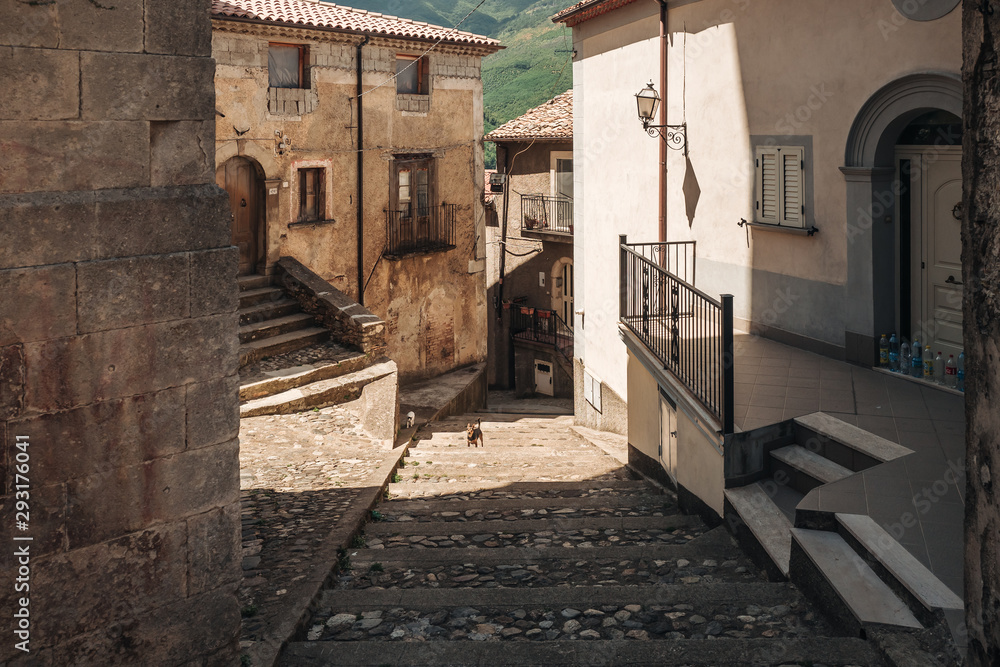 SAN FILI / ITALY -  AUGUST 2019: Dog walking around the old town