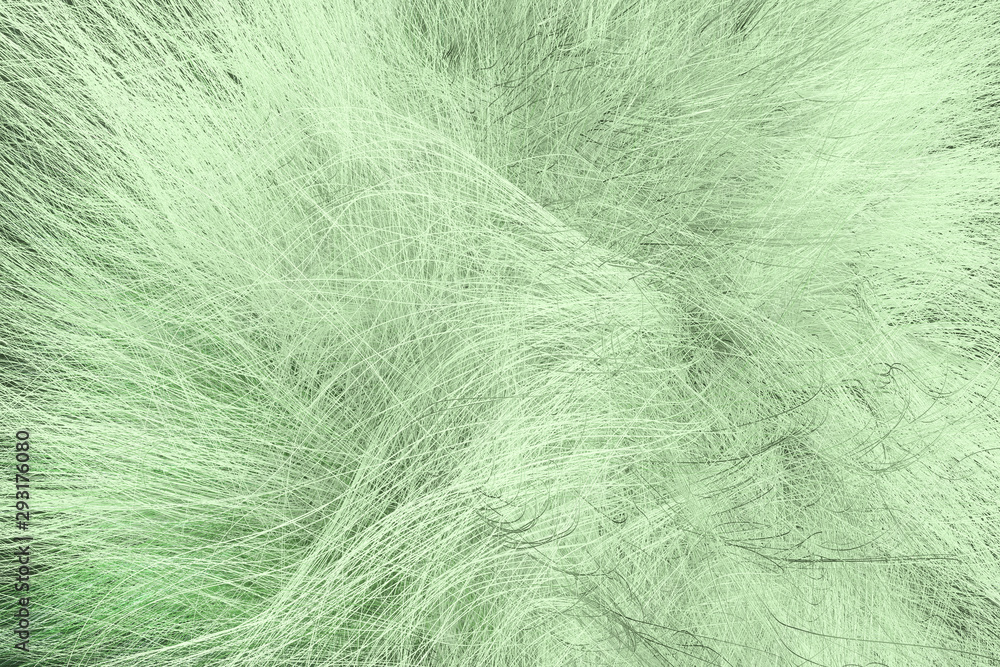 Artistic look abstract of fur, dreamy background. Closeup, 3D rendering & illustration.
