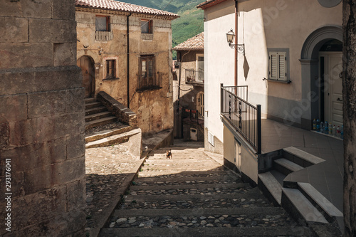 SAN FILI / ITALY -  AUGUST 2019: Dog walking around the old town