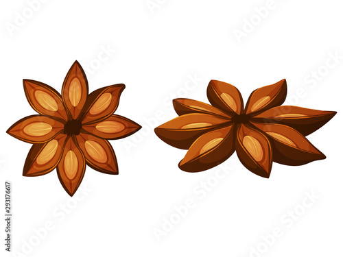 anise stars. Realistic style. Vector illustration. Isolated on white. Object for packaging, advertisements, menu.