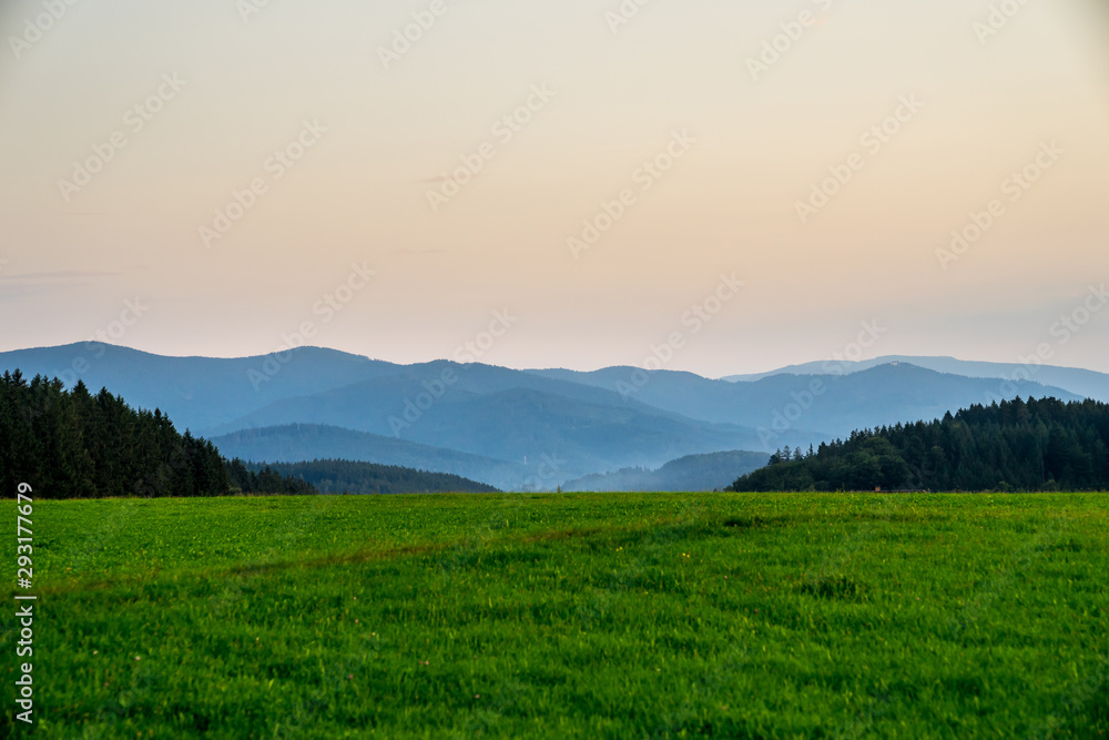Germany, Stunning endless green nature landscape of black forest tree covered mountains in foggy afterglow light after sunset in summer behind green meadow