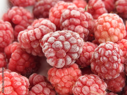 Framboises givrées