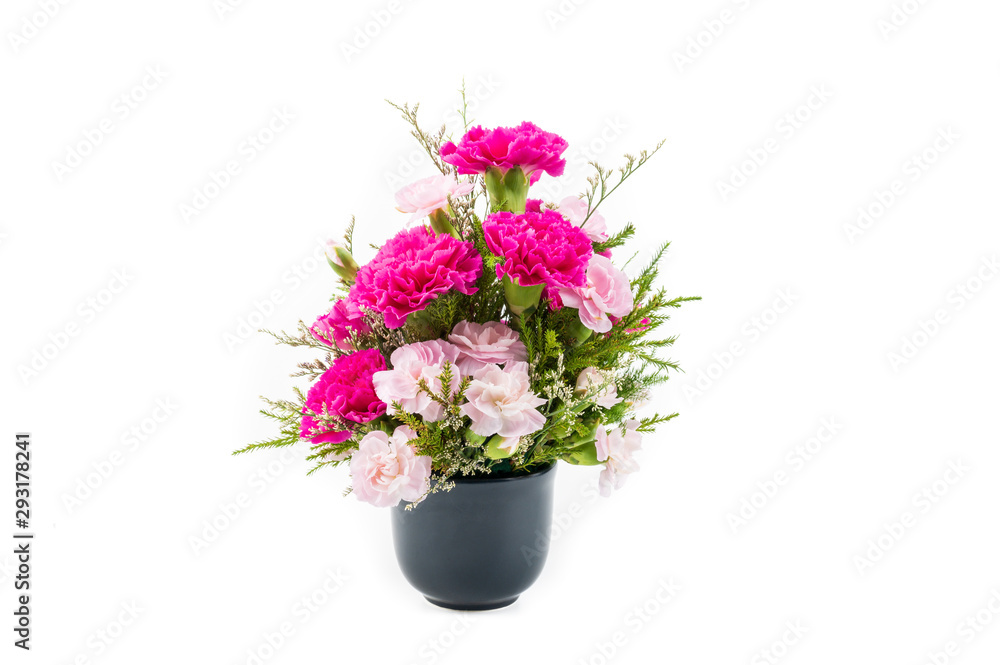 Pink carnation flowers in black vase, isolated on white