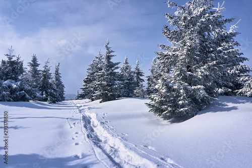 Walking trail buried under snow in the Jizera Mountains in Poland.
