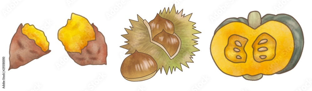 秋の味覚 いもくりかぼちゃ 芋栗南瓜 イラスト素材 水彩風 Stock Illustration Adobe Stock