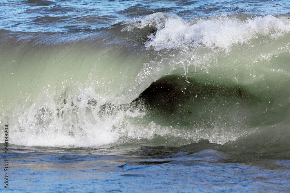 Fototapeta premium A green wave breaking near the shore of a sandy beach