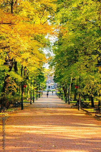 Canvas Print autumn is coming view of city park with yellow and green trees