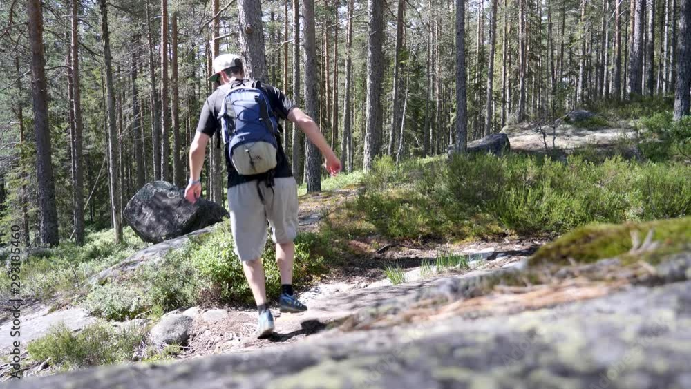 Backpacker hurries along a trail through the forest in summer Backpacker hurries along a trail through the forest in summer