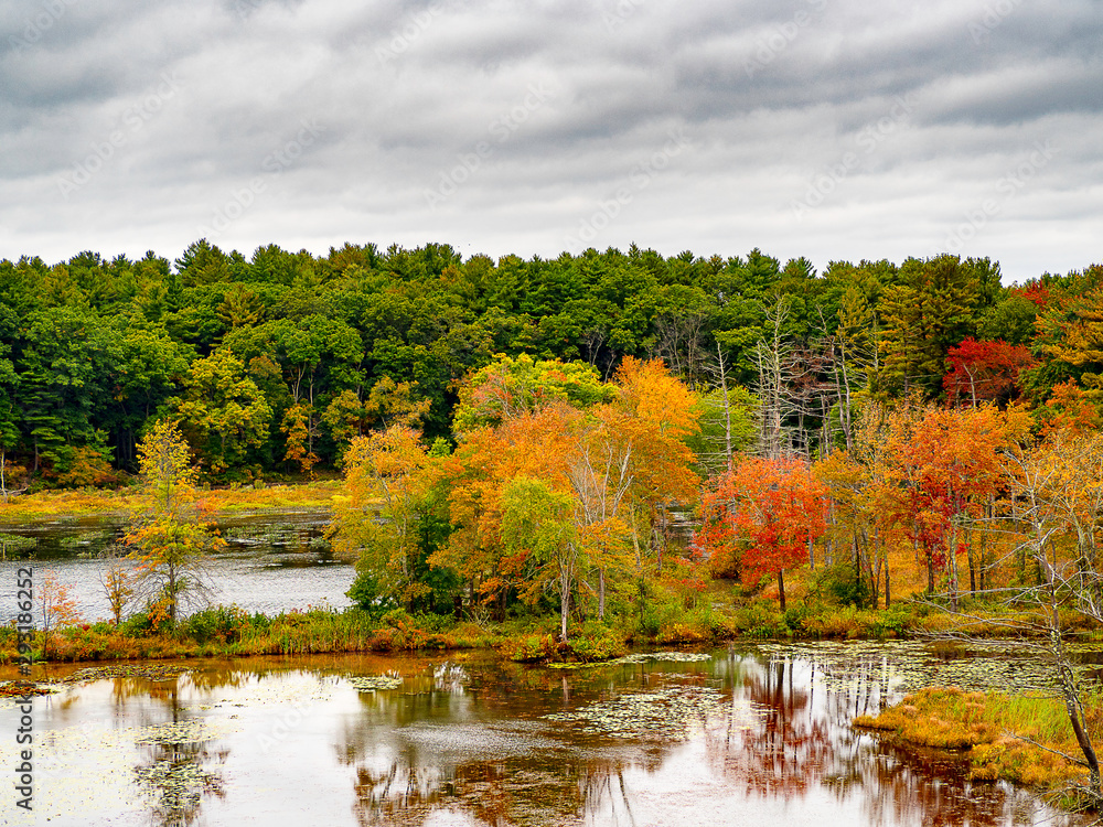 autumn landscape with lake and trees autumn landscape with lake and trees