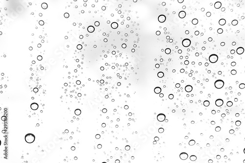 Fototapeta Naklejka Na Ścianę i Meble -  Rain drops on window glasses surface Natural Pattern of raindrops. Natural pattern of raindrops on white background for your design.