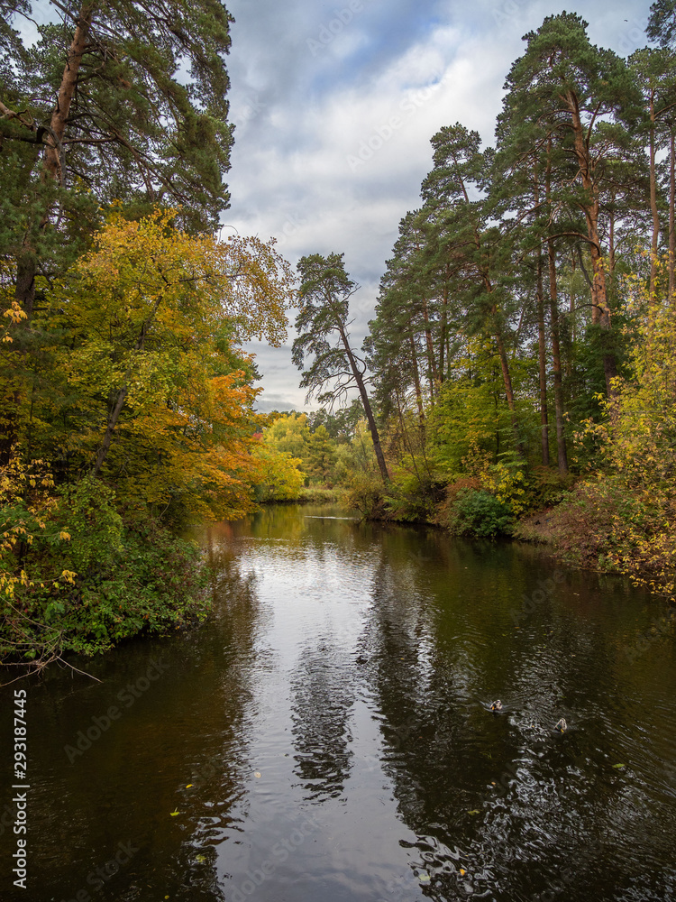 Autumn, trees, river.
