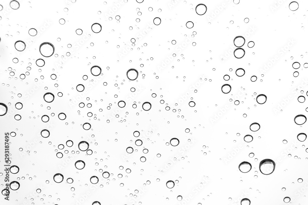 Fototapeta premium Krople deszczu na powierzchni szyb w oknie Natural Pattern of raindrops. Naturalny wzór kropel deszczu na białym tle do projektowania.