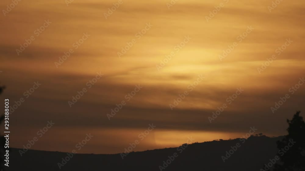 Timelapses The sun falling at sunset with tree Timelapses The sun falling at sunset with tree
