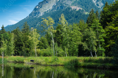 Moorweiher bei Oberstdorf