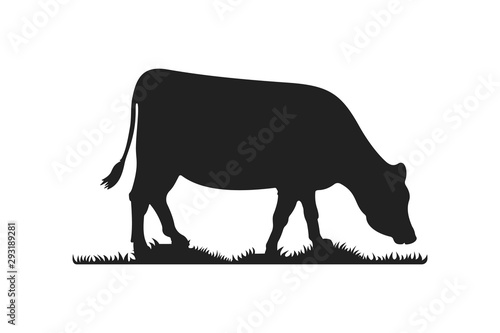 Cow silhouettes on grass. Cow grazing on meadow vector cartoon illustration.