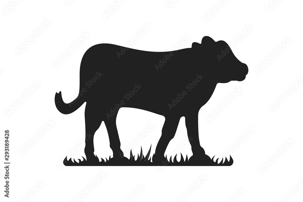 Calf silhouettes on grass. Cow grazing on meadow vector cartoon illustration.