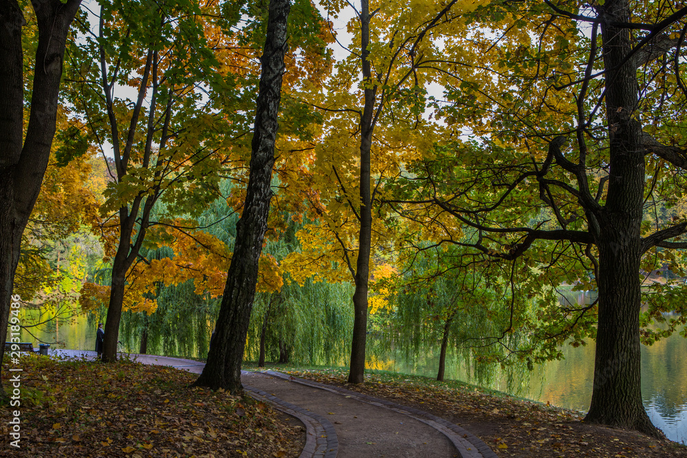 Golden autumn in a city park