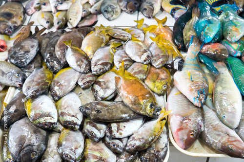 assortment of fresh fishes at fishmonger. Tropical fish in a seafood store. Fresh seafood market in Asia.