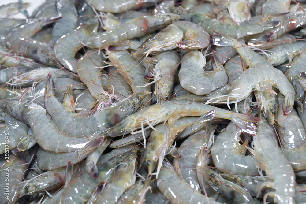 close up fresh shrimps from top view ready for sale at the market, shrimps background with copy space
