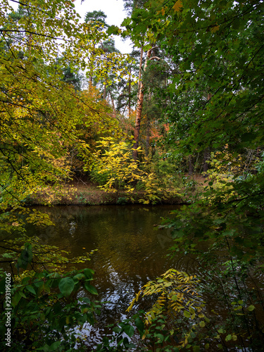 Fototapeta Naklejka Na Ścianę i Meble -  Autumn, trees, river.