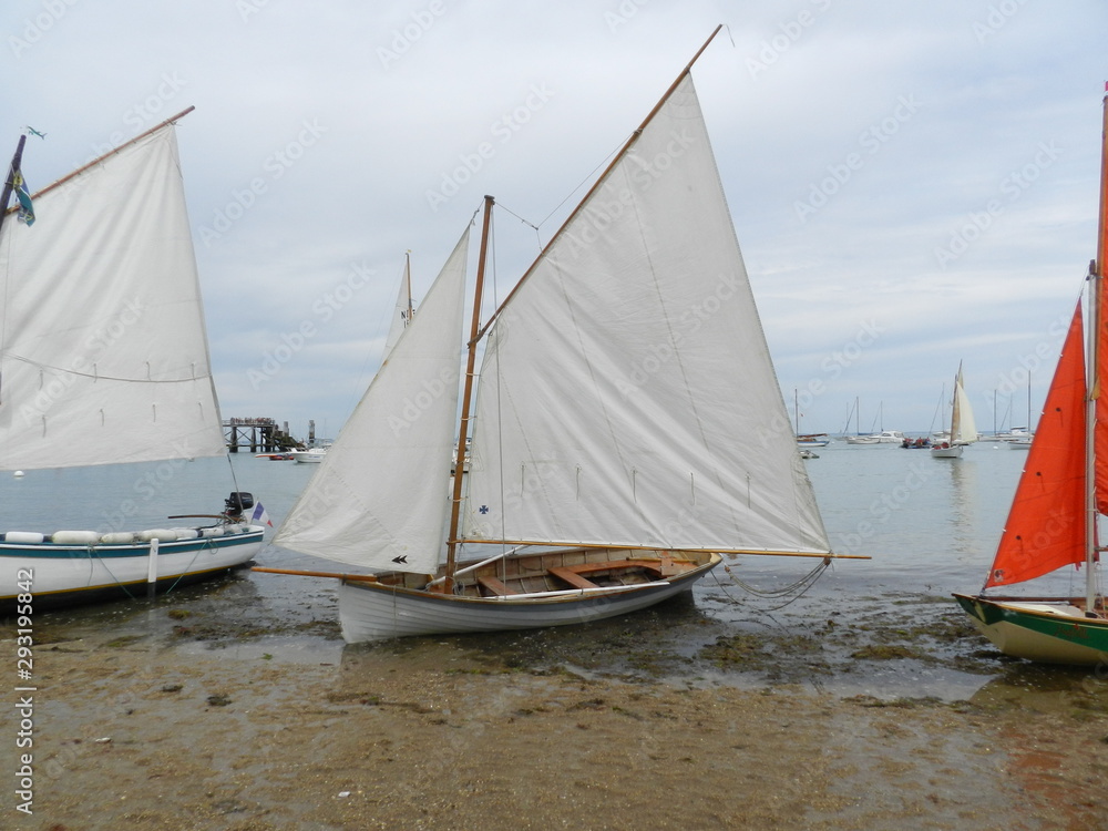 Fototapeta premium sailing boat in sea
